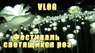 VLOG#11. Фестиваль светящихся роз на Тондэмуне