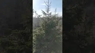 16 декабря 2019 г.