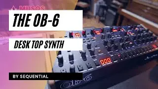 OB-6 Desktop Synth By Sequential // Vibe Machine 