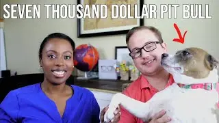 SHOULD YOU GET PET INSURANCE?