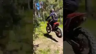 эндуро столик 2024