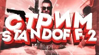 Стрим с кланом