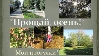 Прощай, осень! *Мои прогулки*
