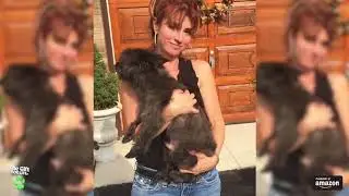 Joey Villani talks about his dog Miles and The Gift For Life  Joey Villani, an International Judges