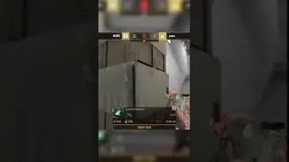 -4 от PayBack в клатче | Standoff 2