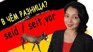 4. What's the difference? seid / seit, vor