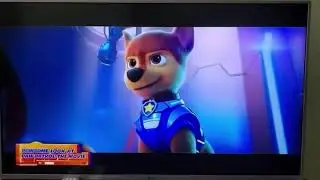 Paw Patrol Mission Paw Is Back, Plus New Paw Patrol Movie Look!