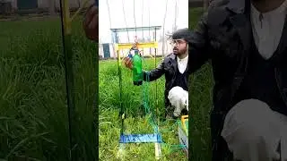 2200KV brushless motor thrust test With 1045 Propeller,#2200kvbrushlissmotor #thrusttest