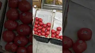 Помидоры по 375 руб. Хорошо разбирают