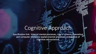 Cognitive Approach