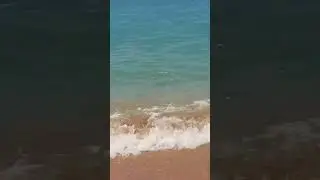 #предместинваня