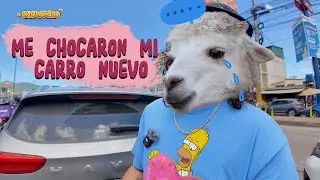 ME CHOCARON MI CARRO 2024