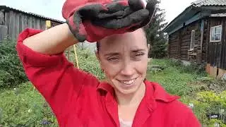 Покупки к школе. Занялась капустой. Дожди каждый день.