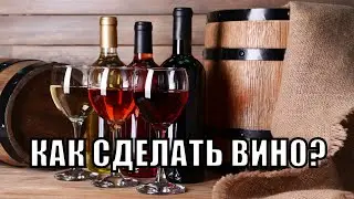 Как сделать вино из винограда
