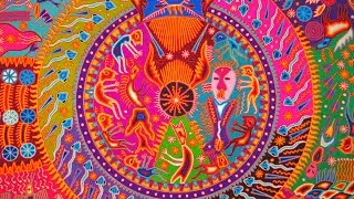 Peyote Trip Report: ‘The Plant With the Answer'