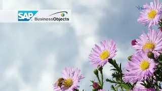 В мире данных BI решений