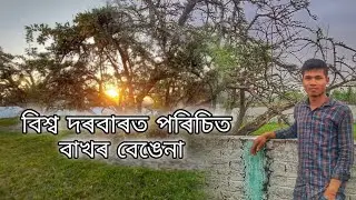 বিশ্ব দৰবাৰত পৰিচিত বাখৰক বেঙেনা//Dibya sarmah//Assamese vlog