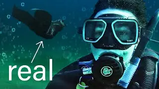 Asking Marine Biologists if Mermaids are REAL