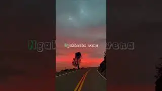 @trendfollowerstiktok5925