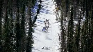 Open North American Championship Sled Dog Race