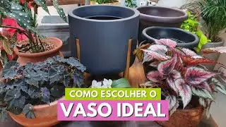 HOW TO CHOOSE THE PERFECT POT! TYPES AND SIZES OF PLANT POTS! MEU QUINTAL CHANNEL 