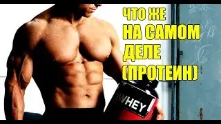 ЧТО ЖЕ ТАКОЕ НА САМОМ ДЕЛЕ ПРОТЕИН!ЧЕСТНО О СПОРТПИТЕ