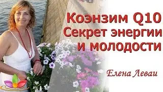 Коэнзим Q 10 Секрет энергии и молодости Елена Леваи