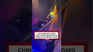 #ChrisBrown loses cool after being stuck while suspended in air during his concert