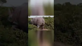 Неожиданный Выход Алисы из Зазеркалья 🌟🪞 
