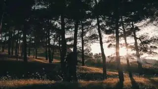 Мой Инстаграм "Igram_sultanov"