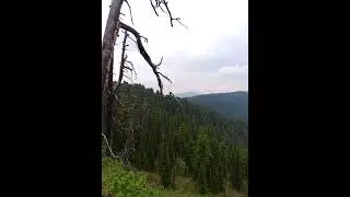 у края бездны