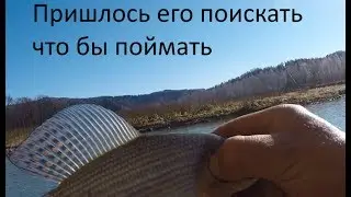 Рыбалка на хариуса. Карагужиха, река Уба.