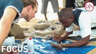 Focus #12 | Biodiversity in Benin, time to look back