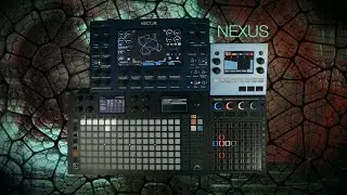 nexus ... tempera, vector & hapax ... ambient