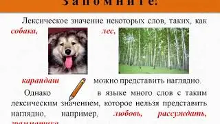 17 Лексическое значение слова