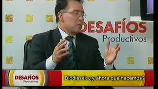 La crisis del biodiesel analizada por un experto
