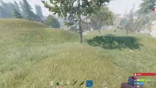 Rust console playing with subs