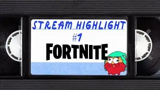 Stream highlight Fortnite #1 [me first time playing, and we won!]