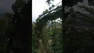 Bukit sakura rekomendasi destinasi wisata kota Bandar Lampung🤩🤩👌👍🏻🤩(4)