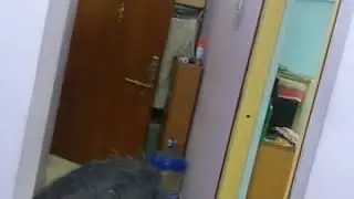 bhai tika 2020