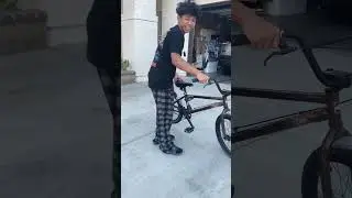Bomba