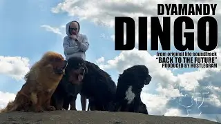 Dyamandy - Dingo(Official Video)