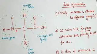 easy way to draw general structure of amino acid