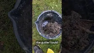 Leaking Gutter Fix #shorts