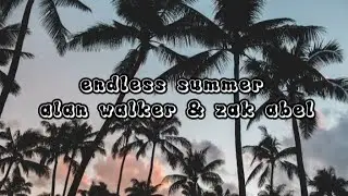 endless summer - Alan Walker & Zak abel ( lyrics)