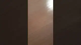 Гайд по сборке