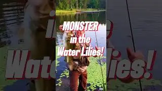 Huge Bass Caught in Dense Weeds! 🌿 