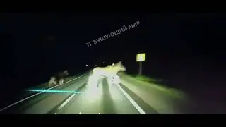 Лосиный тест