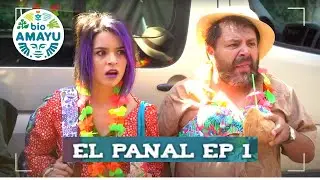 🐝 El EXPERIMENTO AMARUMAYU comienza | Ep 1 - Serie el PANAL | BIO AMAYU