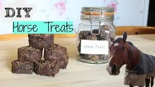DIY Horse Treats